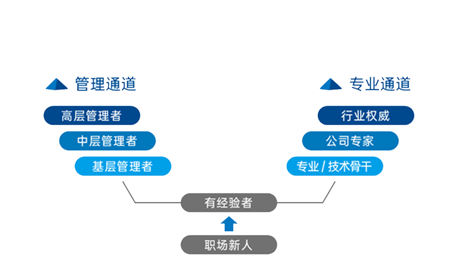 AG·尊龙凯时 - 人生就是搏!
